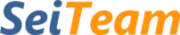 logo di seiteam partner di timenet